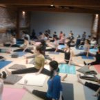 Best Yoga Class with 50 students in San Francisco