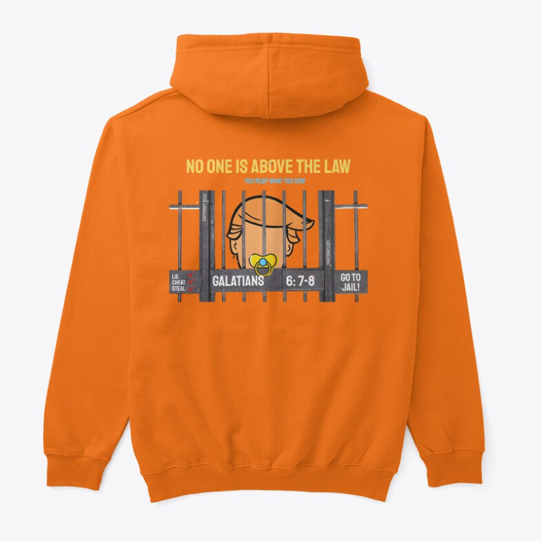 Trump Hoodie. Former  U.s> President Donald Trump's Face behind bars. with text "No One is Above the Law."  Orange Pullover hoodies.