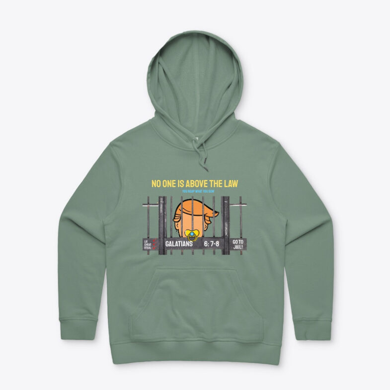 trump hoodie green - no one is above the law