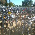 AIDS/Lifecycle 2,500 Bikes at Bike Parking