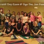 Yoga Tree San Francisco Yoga Class
